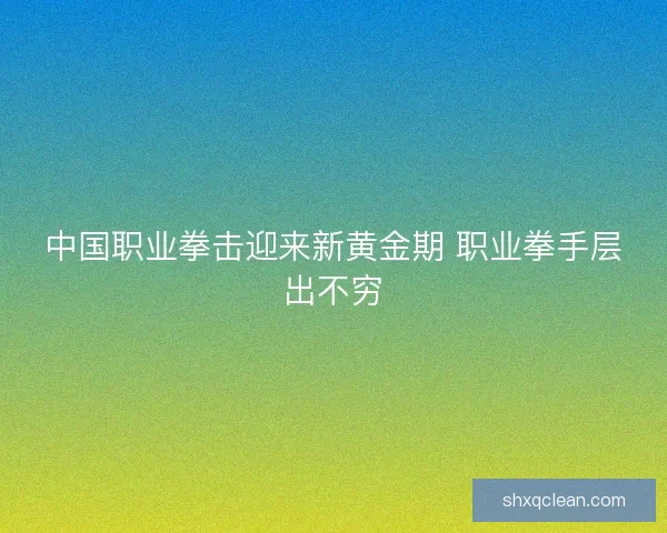 中国职业拳击迎来新黄金期 职业拳手层出不穷